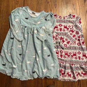 Set of 2 Hanna Andersson cotton flannel nightgowns GUC